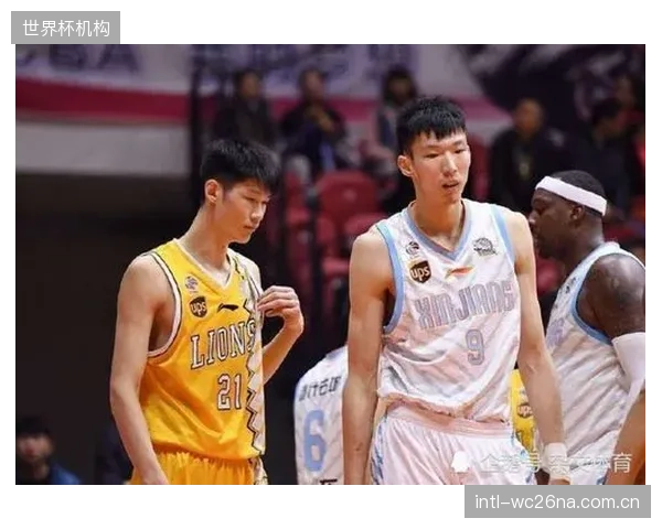厦门大学中锋杜伯超静态天赋惊人，或成CBA护筐体系新蓝图。